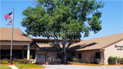 Springbrook Behavioral Health System
