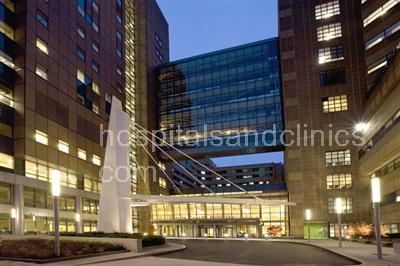 Yale-New Haven Hospital